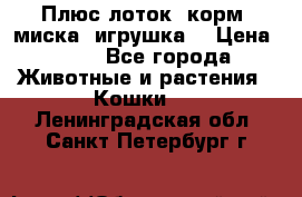 Плюс лоток, корм, миска, игрушка. › Цена ­ 50 - Все города Животные и растения » Кошки   . Ленинградская обл.,Санкт-Петербург г.